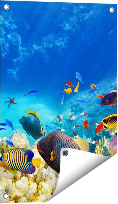 Gards Tuinposter Vissen in de Oceaan met Koralen - 40x60 cm - Tuindoek - Tuindecoratie - Wanddecoratie buiten - Tuinschilderij