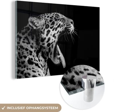 MuchoWow® Glasschilderij 60x40 cm - Schilderij acrylglas - Jaguar - Dier - Zwart - Wit - Foto op glas - Schilderijen