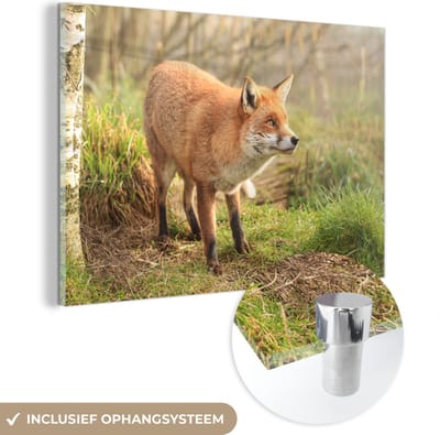 MuchoWow® Glasschilderij 30x20 cm - Schilderij acrylglas - Vos - Bos - Licht - Foto op glas - Schilderijen