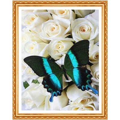 Diy diamant schilderij witte roos kristal ronde diamant sets home decor borduurwerk bloemen vlinder 20X30CM black