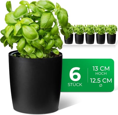 Novaliv Stijlvolle Set van 6 Zwarte Kunststof Kruidenpotten voor Elke Vensterbank, Verse Keukenkruiden, Kruidentuin voor de Keuken, Kruidenbed voor Binnen, Kamerplanten, Plantenpot, Plantenkom