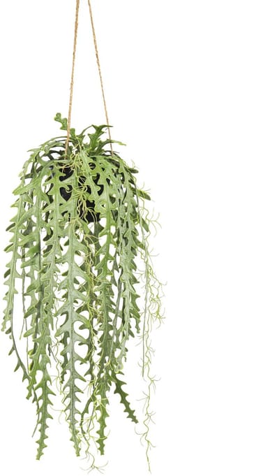 Kunst Hangplant Zaagcactus 65 cm | Groen | Kunst Hangplant - Nep Hangplant - Kunstplant in hangpot