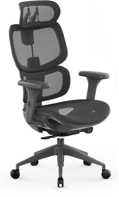 SENSE7 NOBU - Bureaustoel - Draaibaar - Ergonomisch - in Hoogte Verstelbaar - Rugleuning van Gaas - Verstelbare 3D-Armleuningen - FlowTechSwing-Schommelfunctie - Graphite