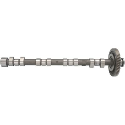 Nokkenas  AE CAM974