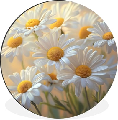 WallCircle - Wandcirkel - Muurcirkel - Madeliefjes - Wit - Zonlicht - Aluminium - Dibond - 30x30 cm - Binnen en Buiten
