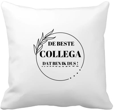Akyol - de beste collega dat ben ik dus Kussen hoes - Collega - beste collega - liefste collega - afscheids cadeau - verjaardag - cadeau - kado - bedankje - 40 bij 40 cm