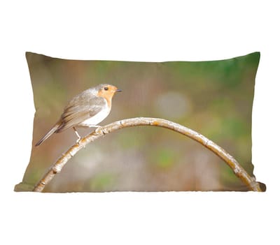 Sierkussens - Kussentjes Woonkamer - 50x30 cm - Roodborstje - Vogel - Natuur
