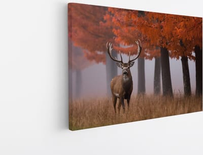 Saammp Canvas Schilderij - Hert - Portret - Herfst - Natuur - Dieren - 45x30 - Foto op canvas - Wanddecoratie - Muurdecoratie Woonkamer - Slaapkamer decoratie - Canvas Print