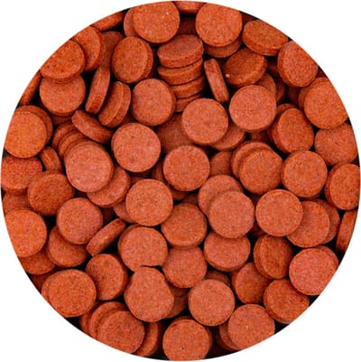 Tropisch visvoer - Funtips - Kleeftabletten - 100 ml