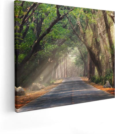 Artaza Canvas Schilderij Bomenlaan - 50x40 cm - Wanddecoratie Natuur - Muurdecoratie Bos - Kamer Accessoires Landschap