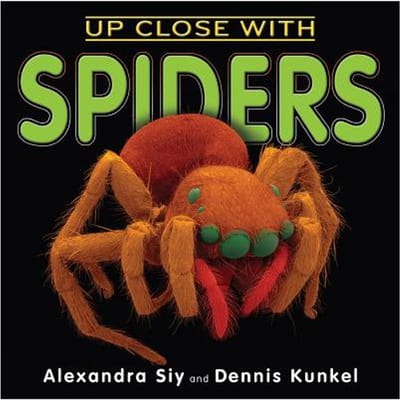 Up Close With Spiders - Alexandra Siy