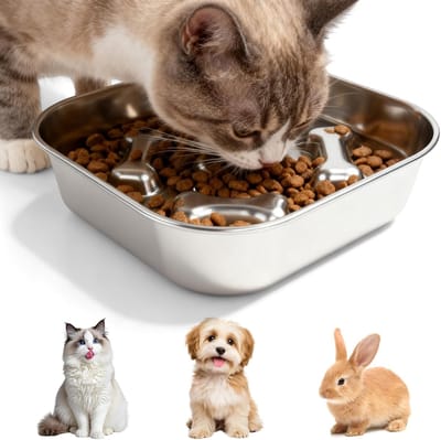 Antischrokbak Hond - Langzame Voerbak - Gezond Eten - RVS 304 Antislip - 215 cm Diameter - Zilver