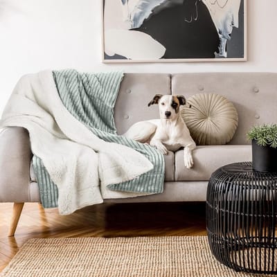 Famanu - Sherpa Fleece Deken 150 x 200 cm - Lichtgrijs - Extra Zachte Plaid voor Woonkamer & Slaapkamer