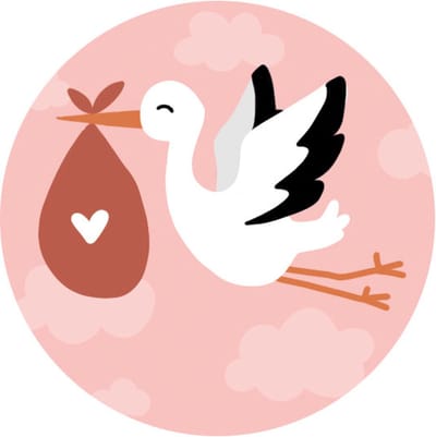 Geboorte sticker ooievaar roze - cadeausticker baby meisje - sluitsticker geboortekaart - kraamcadeau sticker - 20 stuks