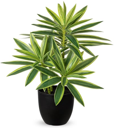 Dailygoods - Oairse 41Cm Nepplanten in Zwarte Potten Kunstmatige Dracaena Plant Decoratieve Nep Potplanten Realistische Faux Kamerplant Voor Thuis Badkamer Woonkamer Keuken Plank Tafel Decoratie
