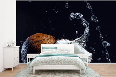 Behang - Fotobehang Kokosnoot - Stilleven - Water - Zwart - Fruit - Breedte 320 cm x hoogte 240 cm