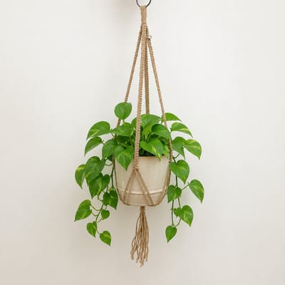 Luna-Leena duurzame plantenhanger macramé in jute met zilverdraad ( zonder mandje - alleen plantenhanger) - L65cm - handmade in Nepal - decoratie - ibiza style - boho - plant hanger - cadeau - moederdag
