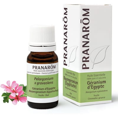 Pranarôm Essentiële Olie Geranium Egypte | Ontspanning & Huidverzorging 10 Etherische olie