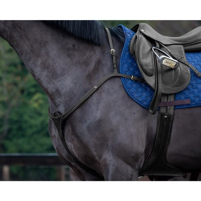 Jachthalsband met lange brug voor paarden Dy'on