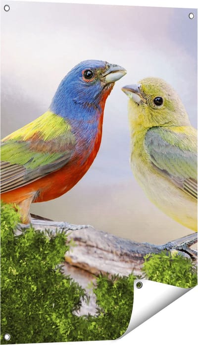 Gards Tuinposter Getekende Gorzen Vogels - Kleur - Abstract - 60x90 cm - Tuindoek - Tuindecoratie - Wanddecoratie buiten - Tuinschilderij
