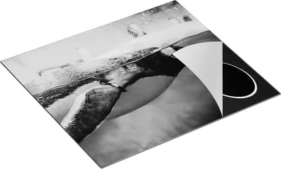 Chefcare Inductie Beschermer Pinguïn Zwemt in het Water - Zwart Wit - 60x50 cm - Afdekplaat Inductie - Kookplaat Beschermer - Inductie Mat