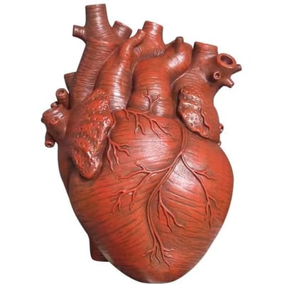 Zwarte Anatomisch Hart Vaas Creatieve Hart Simulatie Vaas Hars Decoratief 4 Kleuren Hartvormige Potbloem Vaas Woondecoratie