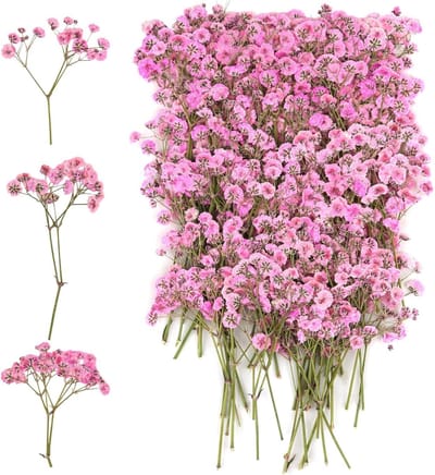 100 Stuks Gedroogde Gypsophila Bloemen voor Knutselen - DIY Fotolijstjes, Bladwijzers, Wenskaarten - Roze Decoratiebloemen
