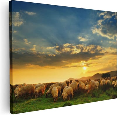 Artaza Canvas Schilderij Kudde Schapen - 40x30 cm - Klein - Wanddecoratie Dieren - Muurdecoratie Weiland - Schilderijen Op Canvas