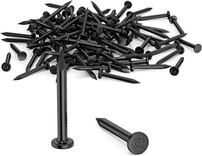 Stalen Spijkers - Nagels Verzinkt - Bevestigen Hout Baksteen - Stabiel Koolstofstaal - 30 mm 100 stuks - Zwart
