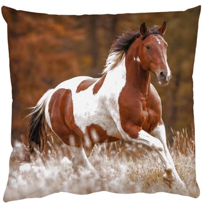Sierkussens - Kussentjes Woonkamer - 50x50 cm - Paard - Bruin - Gras