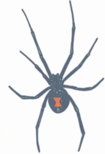 Partychimp Neptatoeage Black Widow 10 Cm Polyester Zwart/rood