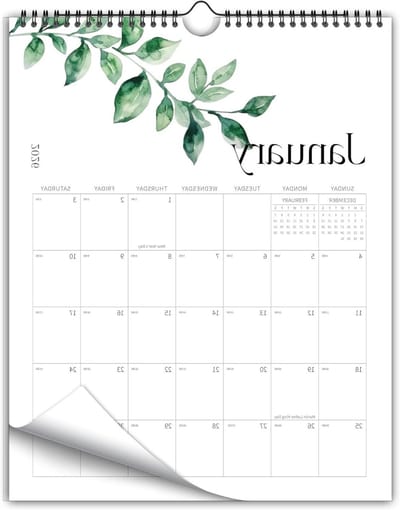 Wandkalender 2026-2027 - Maandplanner Jaarkalender - Afspraken Plannen - 18 Maanden Overzicht - 115 x 15 Inch - Groene Bladeren