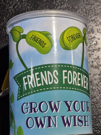 Grow your own wish, Friends forever, fun, plantje, leuk presentje.