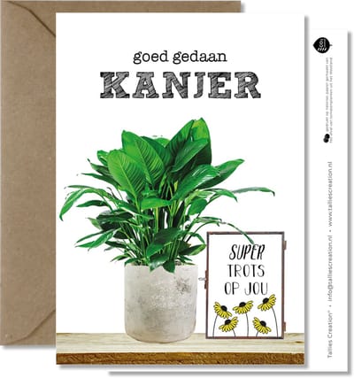 Tallies Cards - greeting  - wenskaarten - Kanjer - Plant  - Set van 4 ansichtkaarten - geslaagd - diploma - zwemdiploma - rijbewijs - Inclusief kraft envelop - 100% Duurzaam