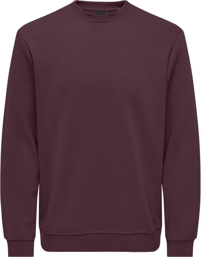 ONLY&SONS - ONSCONNOR LIFE REG CREW NECK SWEAT NOOS - Heren - Sweaters