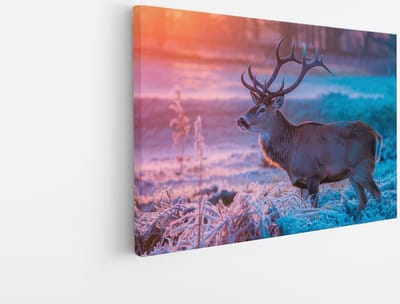 Saammp Canvas Schilderij - hert met zonsopgang en bevroren gras - Natuur - Dieren - 45x30 - Foto op canvas - Wanddecoratie - Muurdecoratie Woonkamer - Slaapkamer decoratie - Canvas Print