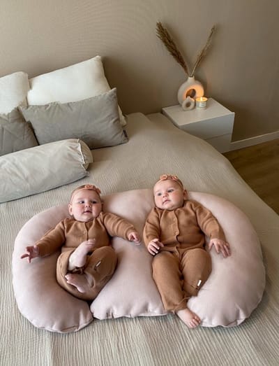 Set van tweeling voedingskussen met afneembare blush voedingskussenhoes