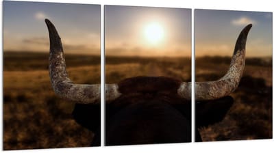 TMK ArtDeko - Snijplank - Glazen Beschermplaat - 3x30x52 cm