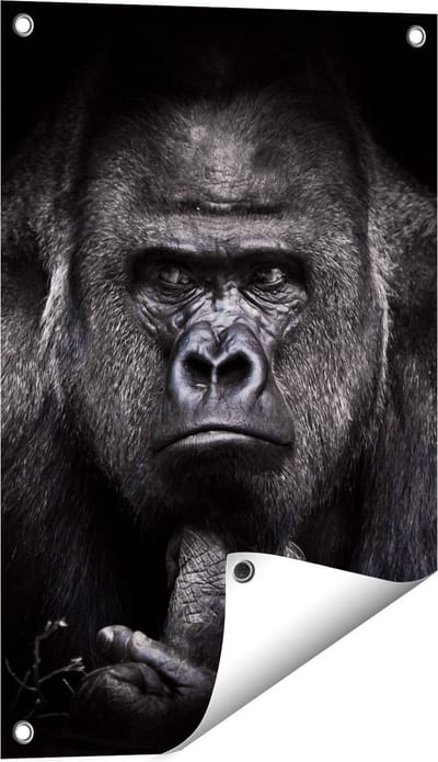 Gards Tuinposter Gorilla - Zwart Wit - 40x60 cm - Tuindoek - Tuindecoratie - Wanddecoratie buiten - Tuinschilderij