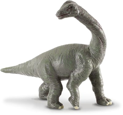 COLLECTA Figurine - Brachiosaurus Baby - (S) - Prehistorie - Handgeschilderd - Dinosaurus - Miniatuur