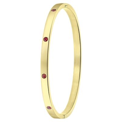 Lucardi Dames Goldplated armband bangle geboortestenen - Staal - Armband - Cadeau - Stijlvol - Goudkleurig