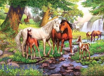 VDTOYS® DIAMOND PAINTING volwassenen - VDTB172 - vierkante steentjes - full - groot formaat - nieuwe tekeningen - 55 op 45 cm (canvas) - 50 op 40 (foto)