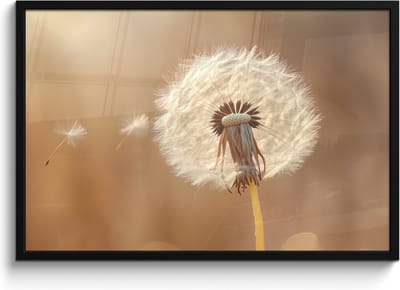 Poster in lijst - Fotolijst 90x60 cm - Posters - Paardenbloem - Beige - Natuur - Bloem - Posterlijst zwart - Decoratie - Wanddecoratie woonkamer - Muurdecoratie slaapkamer