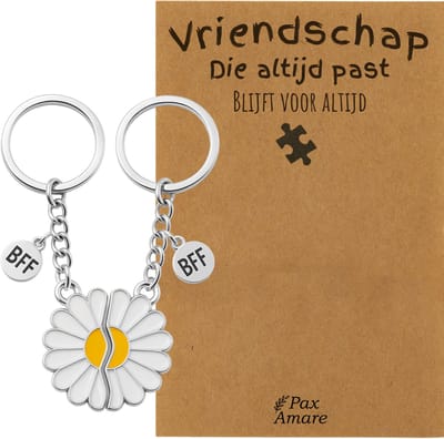 BFF Sleutelhanger voor 2 'Vriendschap die altijd past' - Magnetische Bloem - Sleutelhanger set op Cadeau Kaartje - Zilverkleurig - Vriendschap Symbool - Pax Amare