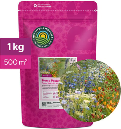 Bloemenmix paardenweide - 1 kg (500 m²) - Bloemenmengsel voor naast de weide - Veilig voor paarden - Lokt nuttige insecten - Kleurrijke wilde bloemen