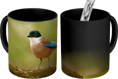 Magische Mok - Foto op Warmte Mokken - Koffiemok - Ekster - Vogel - Mos - Magic Mok - Beker - 350 ML - Theemok