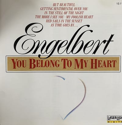 You Belong To My Heart