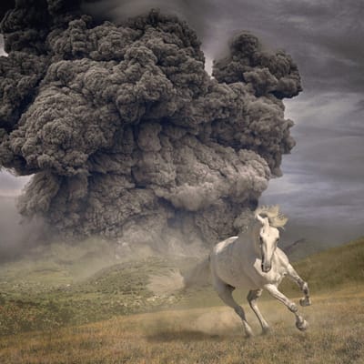 White Buffalo - Year Of The Dark Horse (LP)