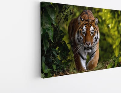 Saammp Canvas Schilderij - Tijger tussen de bladeren - Natuur - Dieren - 30x20 - Foto op canvas - Wanddecoratie - muurdecoratie Woonkamer - Slaapkamer decoratie - Canvas Print