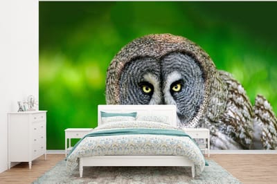Behang - Fotobehang Vogel - Uil - Dieren - Bruin - Portret - Breedte 400 cm x hoogte 300 cm